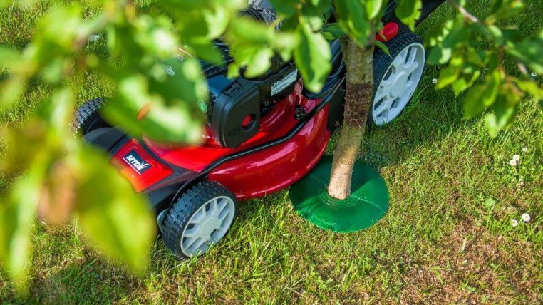 how-to-protect-trees-treeguard-mowing-made-easy-11